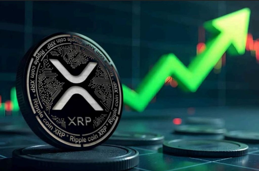 افزایش چشمگیر دارایی صندوقهای ETF ریپل به بیش از یک میلیارد دلار shiraz arz شیراز ارز، اموزش فارکس در شیراز، کلاس ارزدیجیتال در شیراز